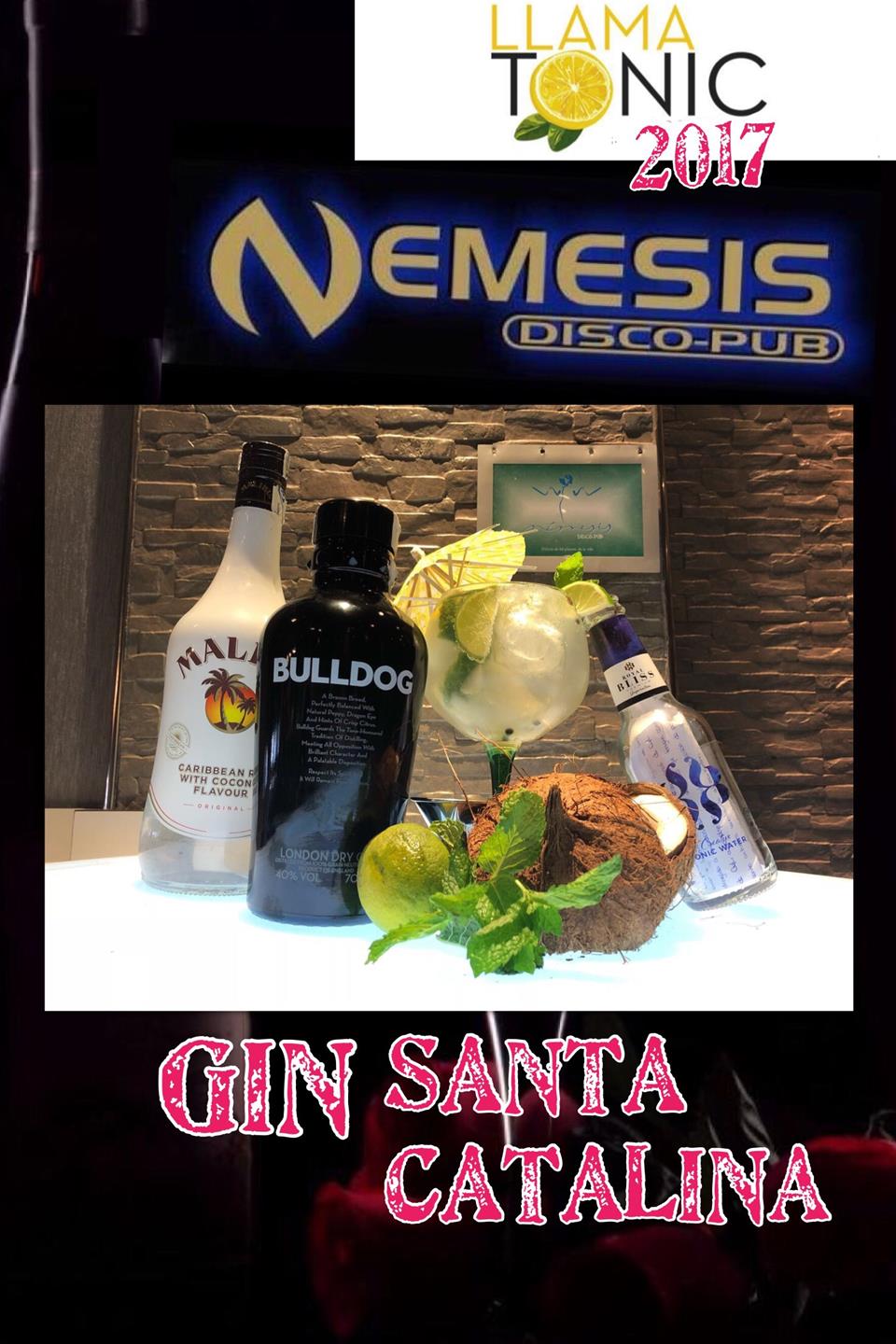 Nemesis - gin santa catalina